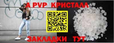 a pvp Славгород