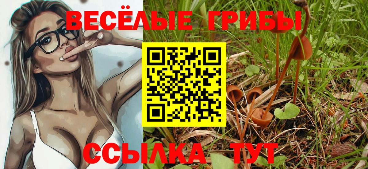 Сарапул  где продают   Вход с VPN  Псилоцибиновые грибы мицелий 